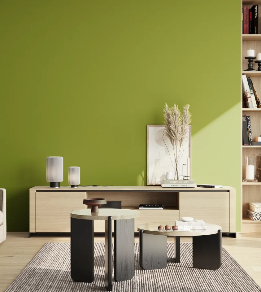 P10_SNIEZKA_salon_02_poludnie_GREY_S2070-G50Y