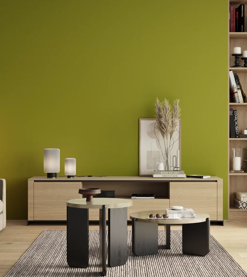 P10_SNIEZKA_salon_00_neutral_GREY_S2070-G60Y