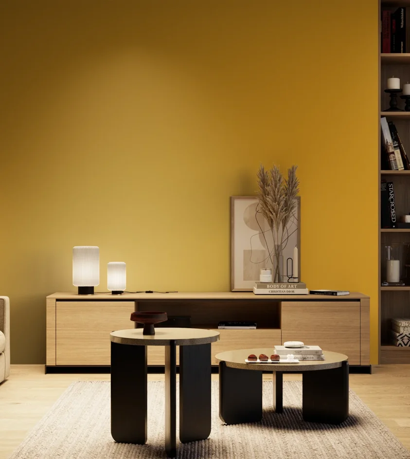 P10_SNIEZKA_salon_04_cieple_GREY_S2070-Y10R
