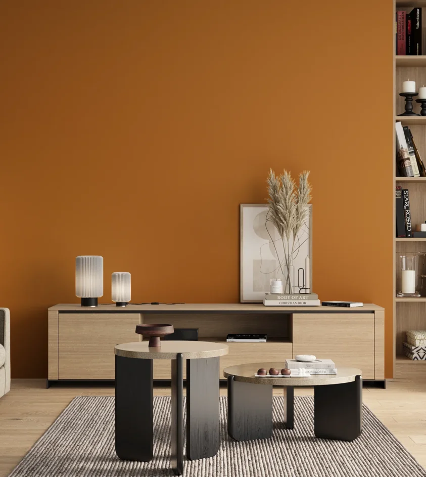 P10_SNIEZKA_salon_00_neutral_GREY_S2570-Y30R