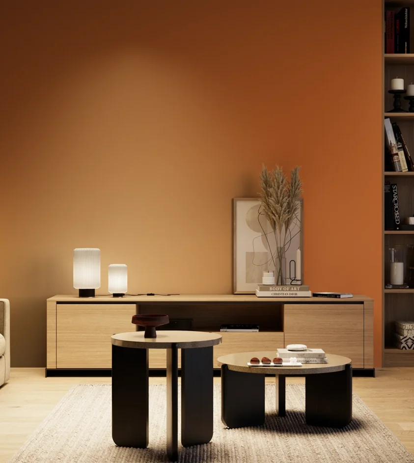 P10_SNIEZKA_salon_04_cieple_GREY_S2570-Y50R