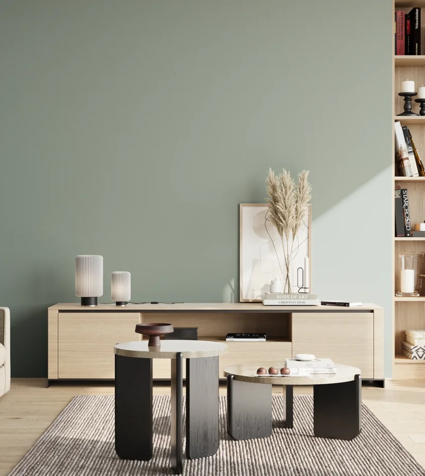 P10_SNIEZKA_salon_02_poludnie_GREY_S3010-B90G