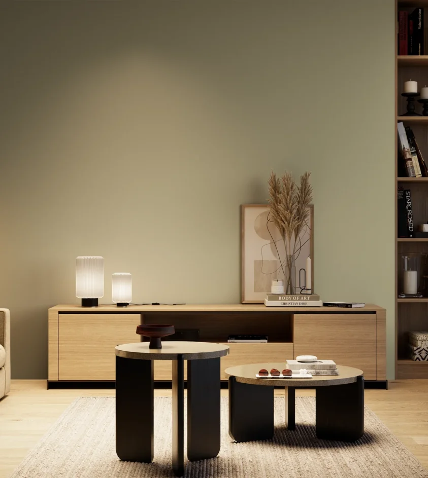 P10_SNIEZKA_salon_04_cieple_GREY_S3010-G70Y
