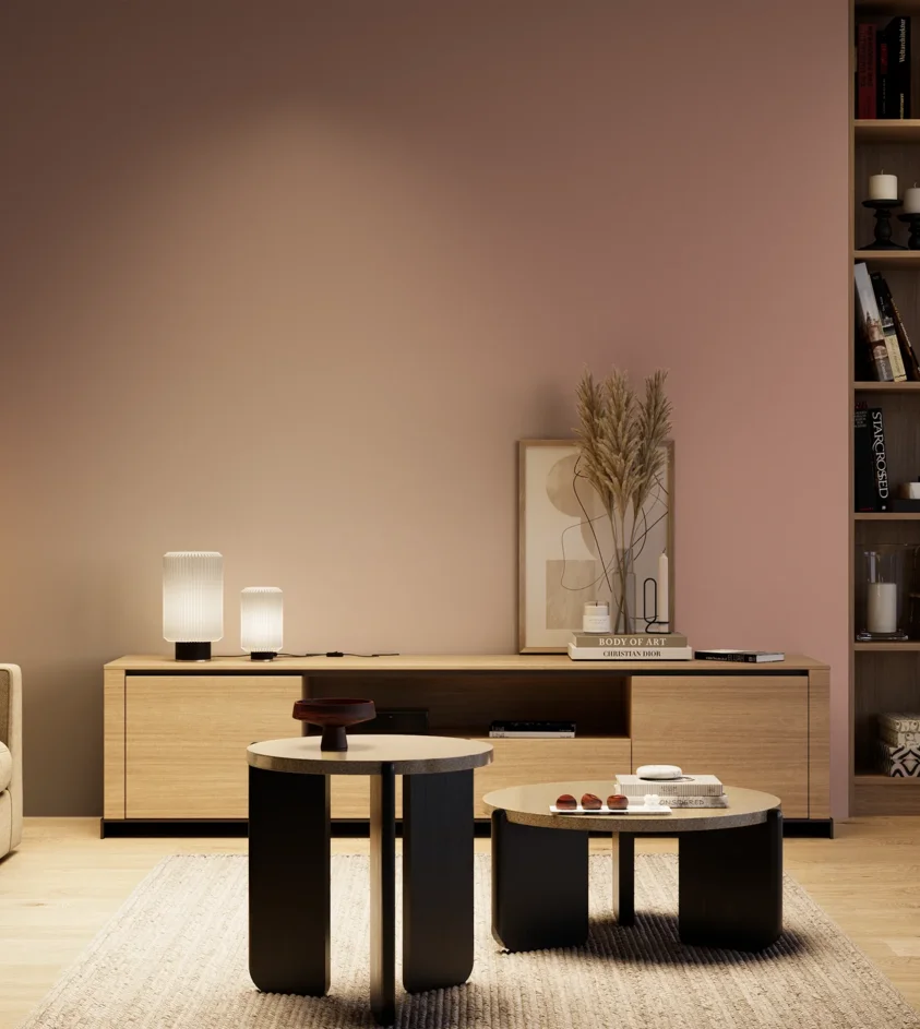 P10_SNIEZKA_salon_04_cieple_GREY_S3020-Y90R