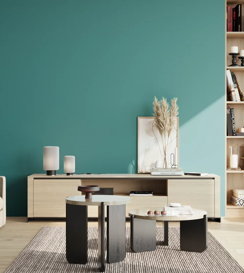 P10_SNIEZKA_salon_02_poludnie_GREY_S3040-B40G
