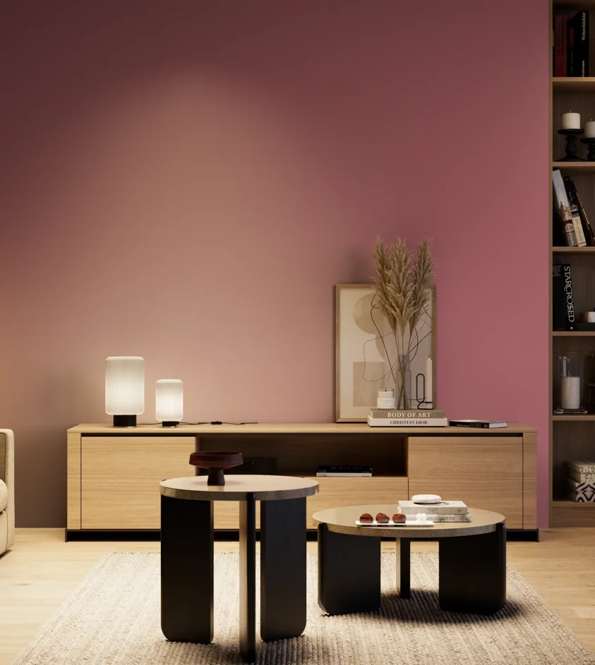 P10_SNIEZKA_salon_04_cieple_GREY_S3040-R20B