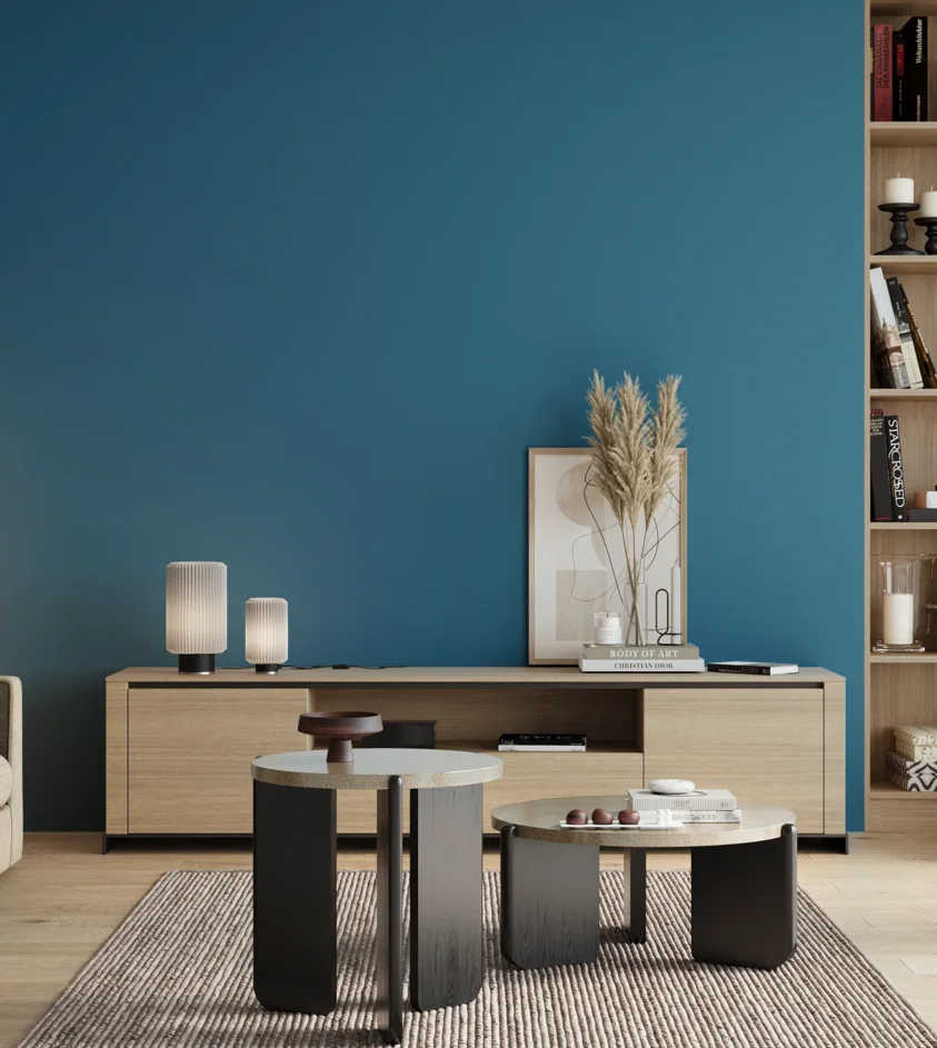 P10_SNIEZKA_salon_00_neutral_GREY_S3050-B