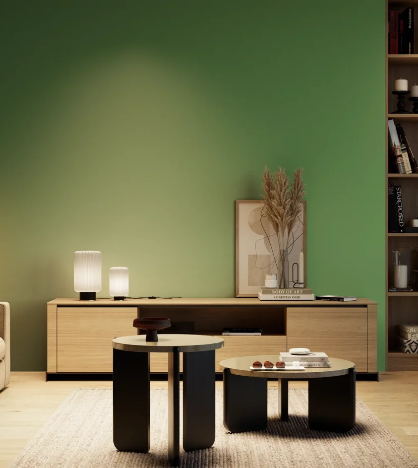 P10_SNIEZKA_salon_04_cieple_GREY_S3050-G20Y