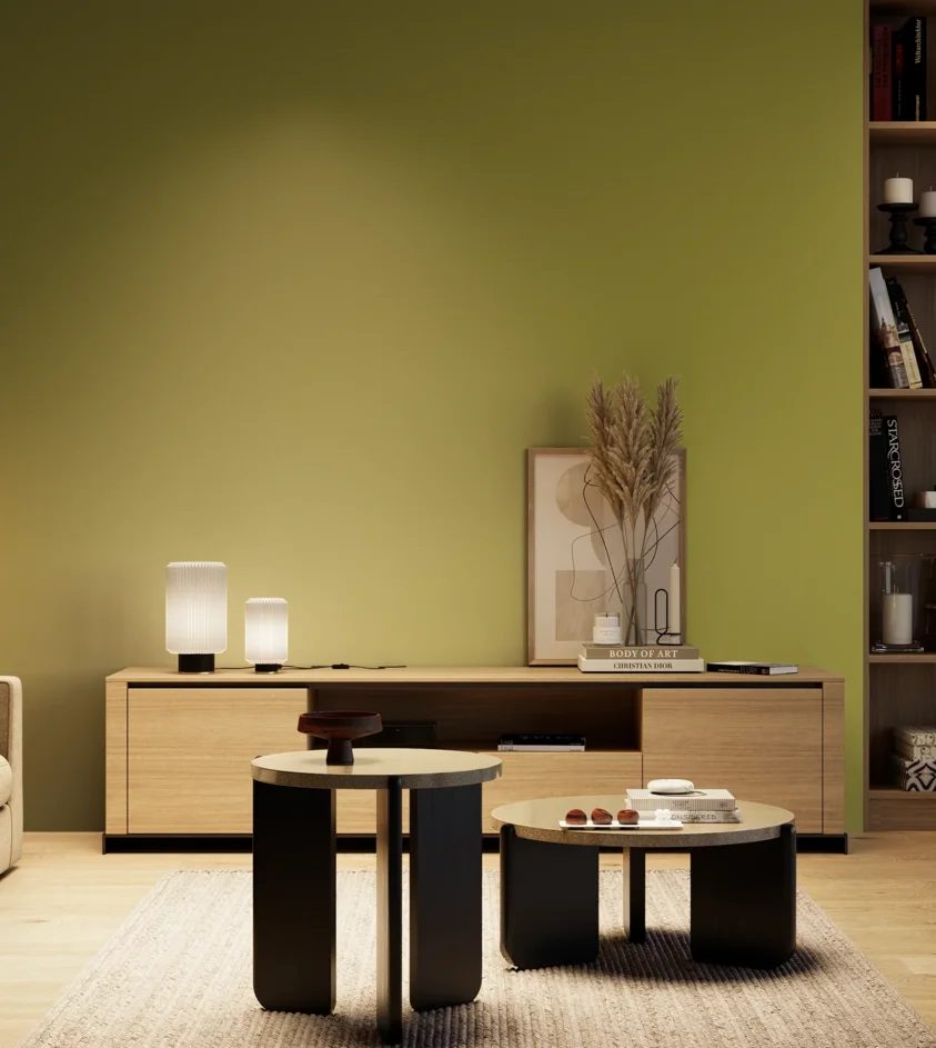 P10_SNIEZKA_salon_04_cieple_GREY_S3050-G70Y