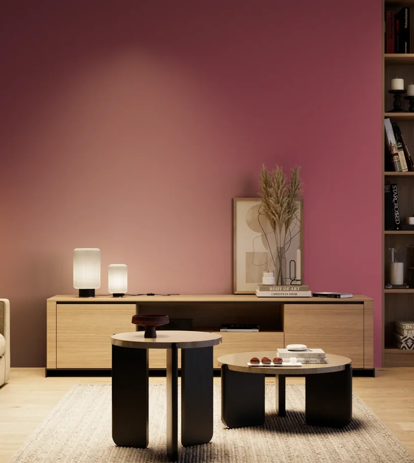 P10_SNIEZKA_salon_04_cieple_GREY_S3050-R20B