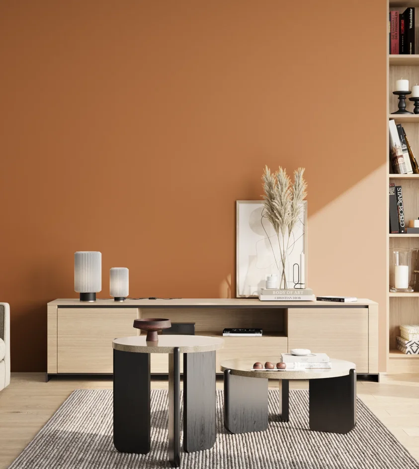 P10_SNIEZKA_salon_02_poludnie_GREY_S3050-Y40R