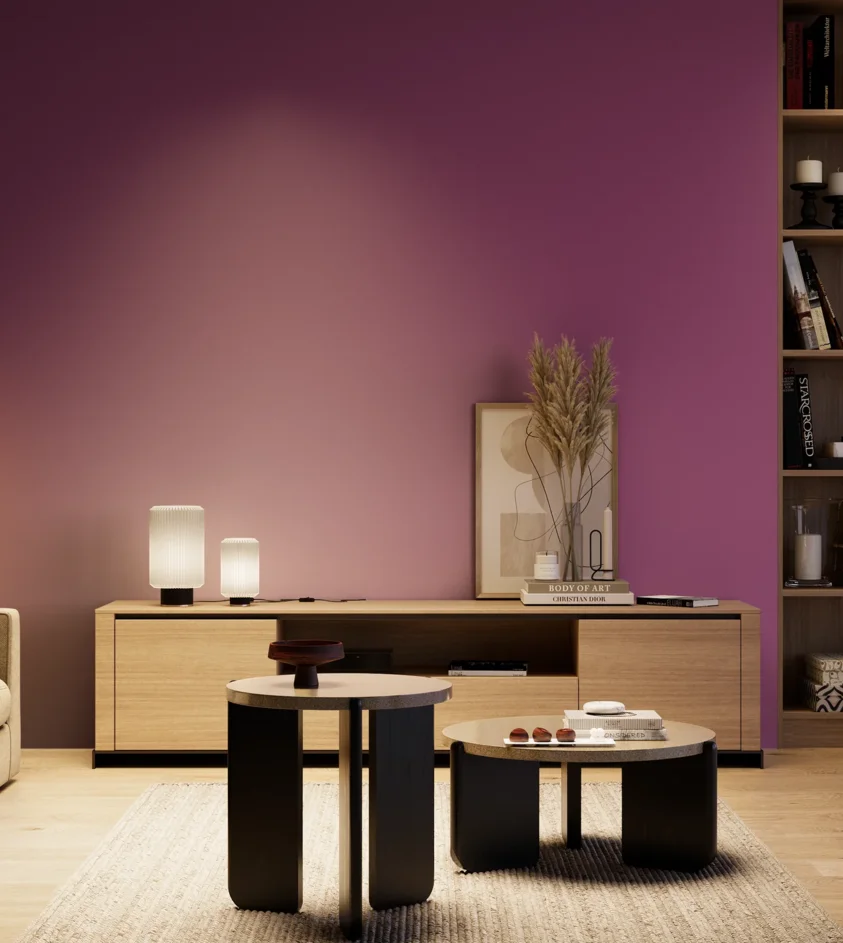 P10_SNIEZKA_salon_04_cieple_GREY_S3055-R40B