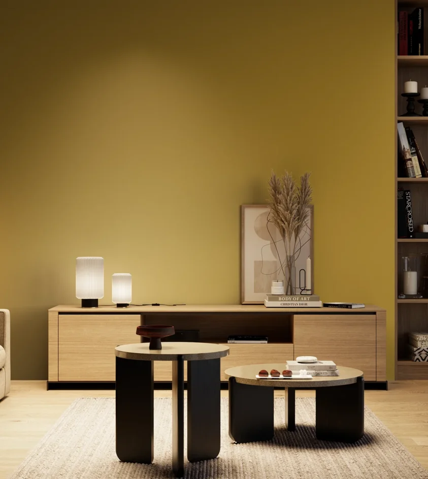 P10_SNIEZKA_salon_04_cieple_GREY_S3060-Y