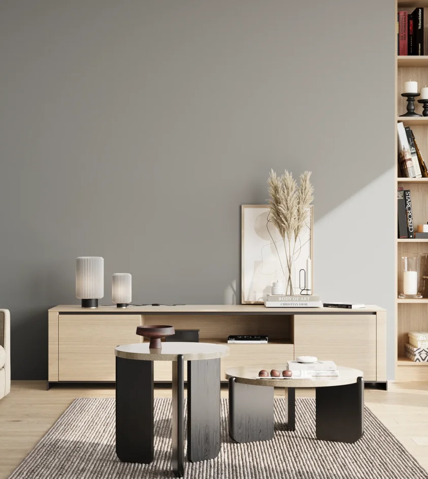 P10_SNIEZKA_salon_02_poludnie_GREY_S3502-B