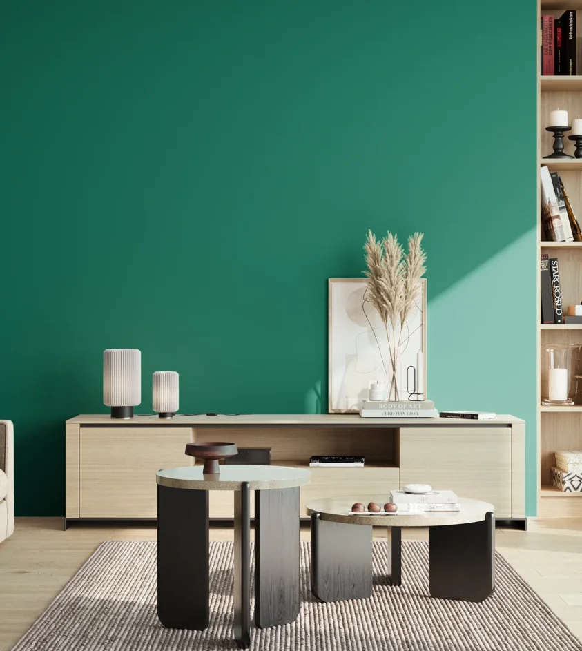 P10_SNIEZKA_salon_02_poludnie_GREY_S3555-B80G