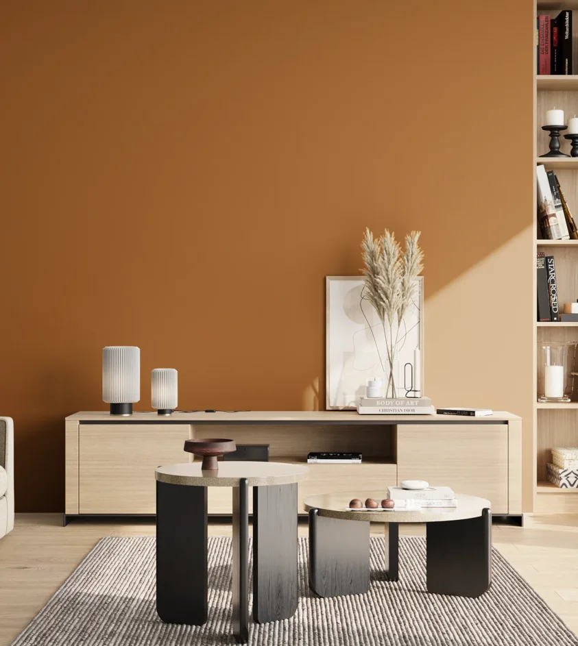 P10_SNIEZKA_salon_02_poludnie_GREY_S3560-Y30R