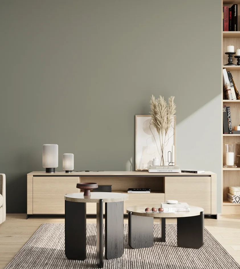 P10_SNIEZKA_salon_02_poludnie_GREY_S4005-G20Y