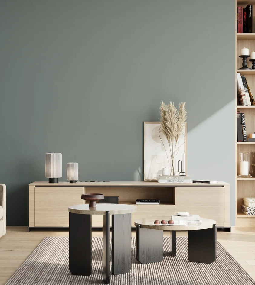 P10_SNIEZKA_salon_02_poludnie_GREY_S4010-B30G