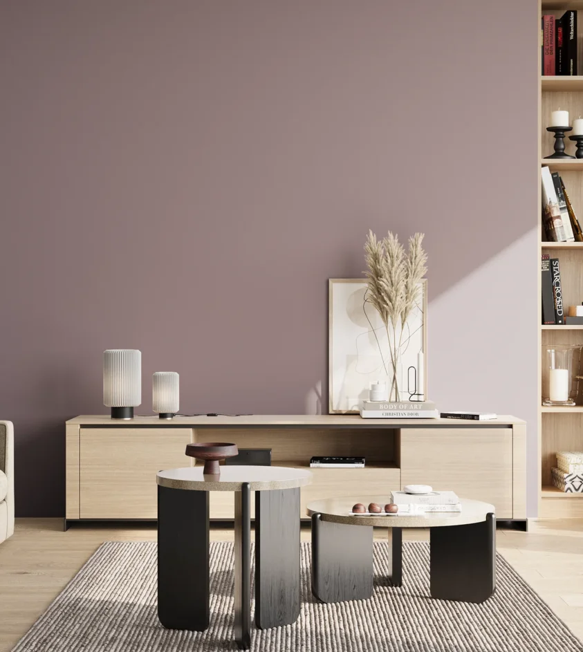 P10_SNIEZKA_salon_02_poludnie_GREY_S4010-R30B