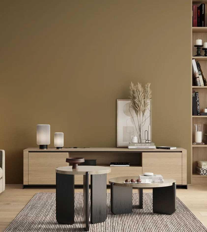 P10_SNIEZKA_salon_00_neutral_GREY_S4020-Y