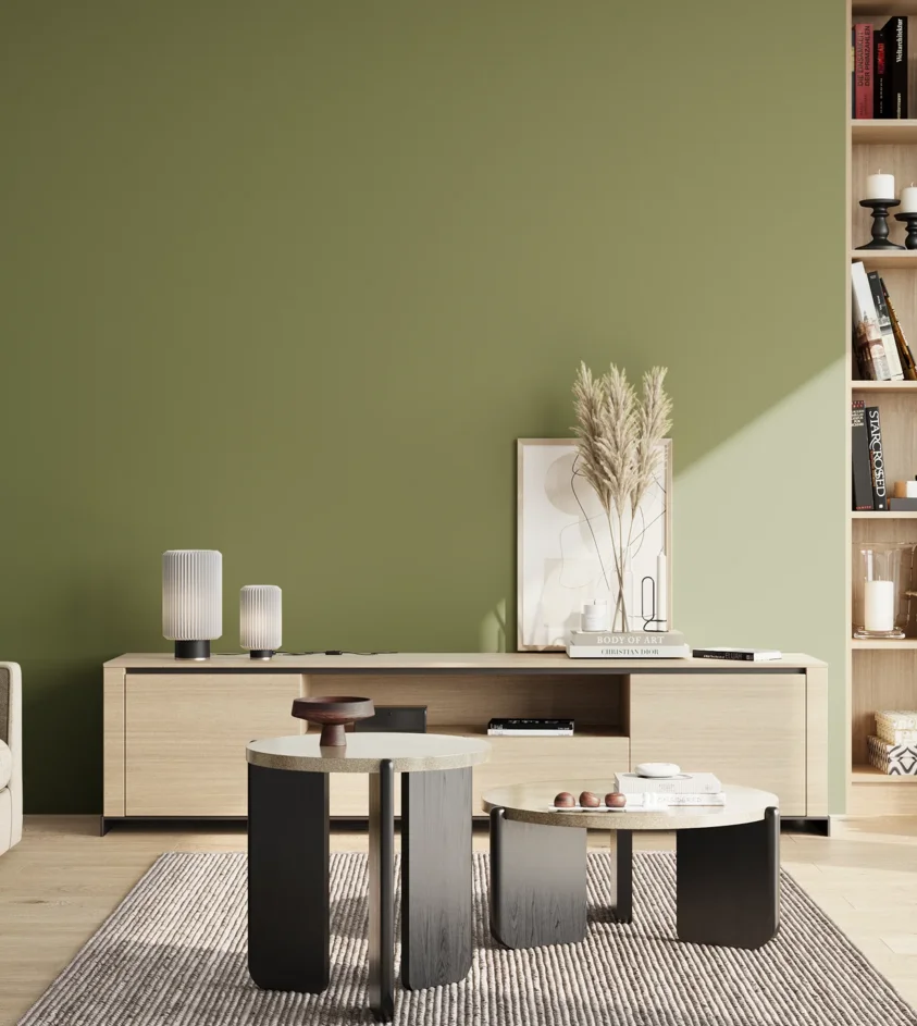 P10_SNIEZKA_salon_02_poludnie_GREY_S4030-G50Y