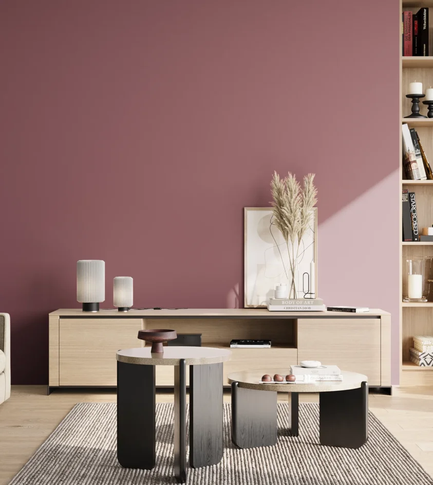P10_SNIEZKA_salon_02_poludnie_GREY_S4030-R20B