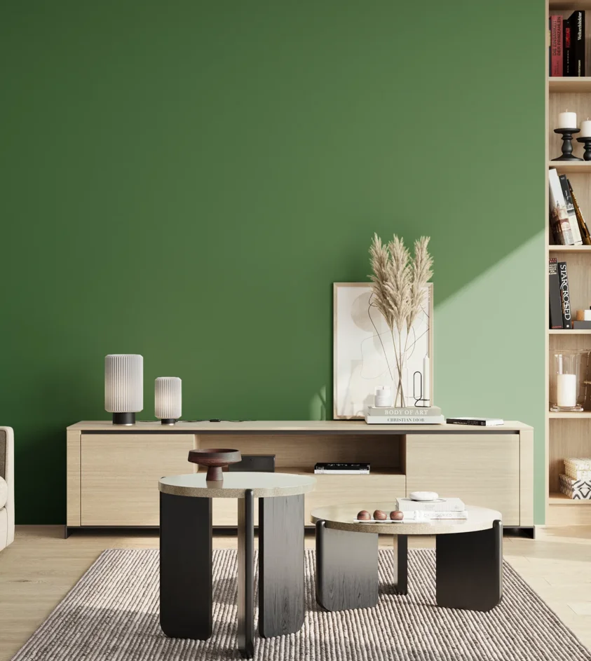 P10_SNIEZKA_salon_02_poludnie_GREY_S4050-G20Y