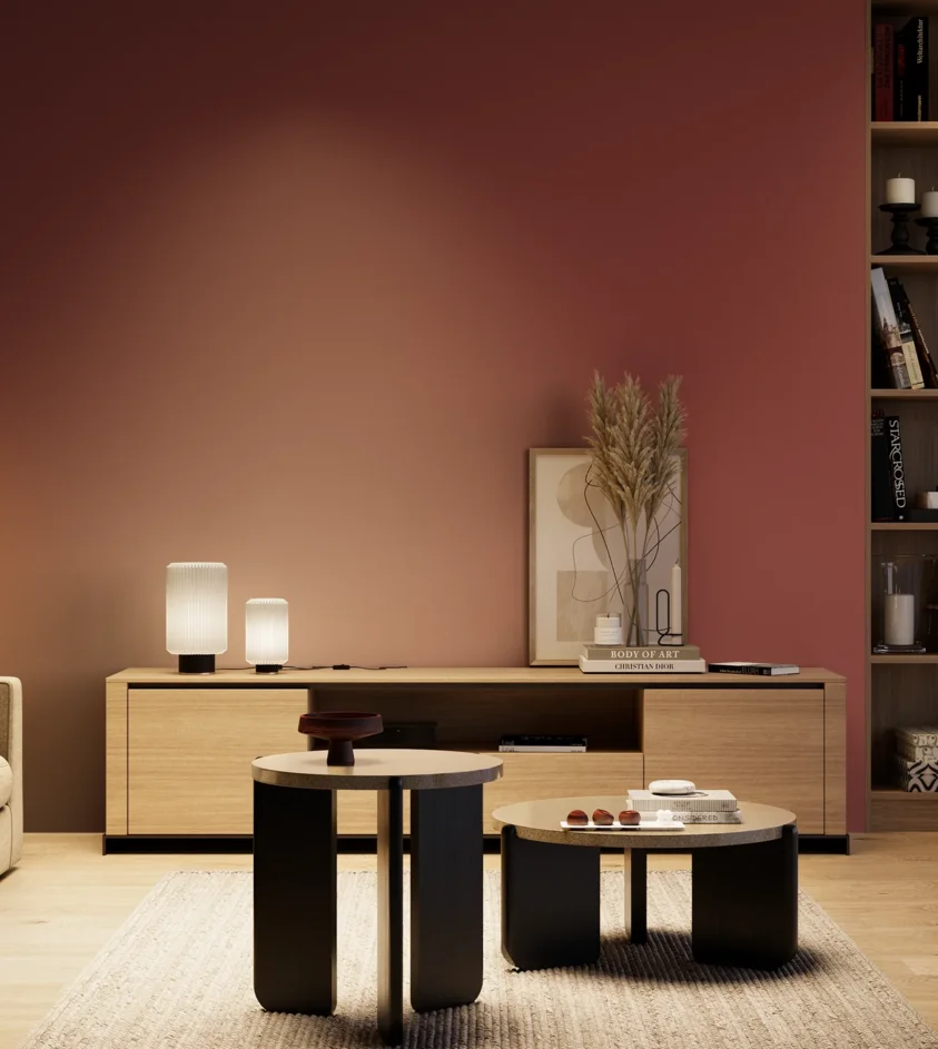 P10_SNIEZKA_salon_04_cieple_GREY_S4050-R