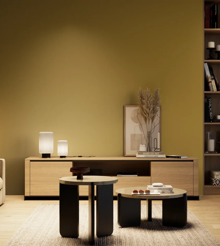 P10_SNIEZKA_salon_04_cieple_GREY_S4050-Y
