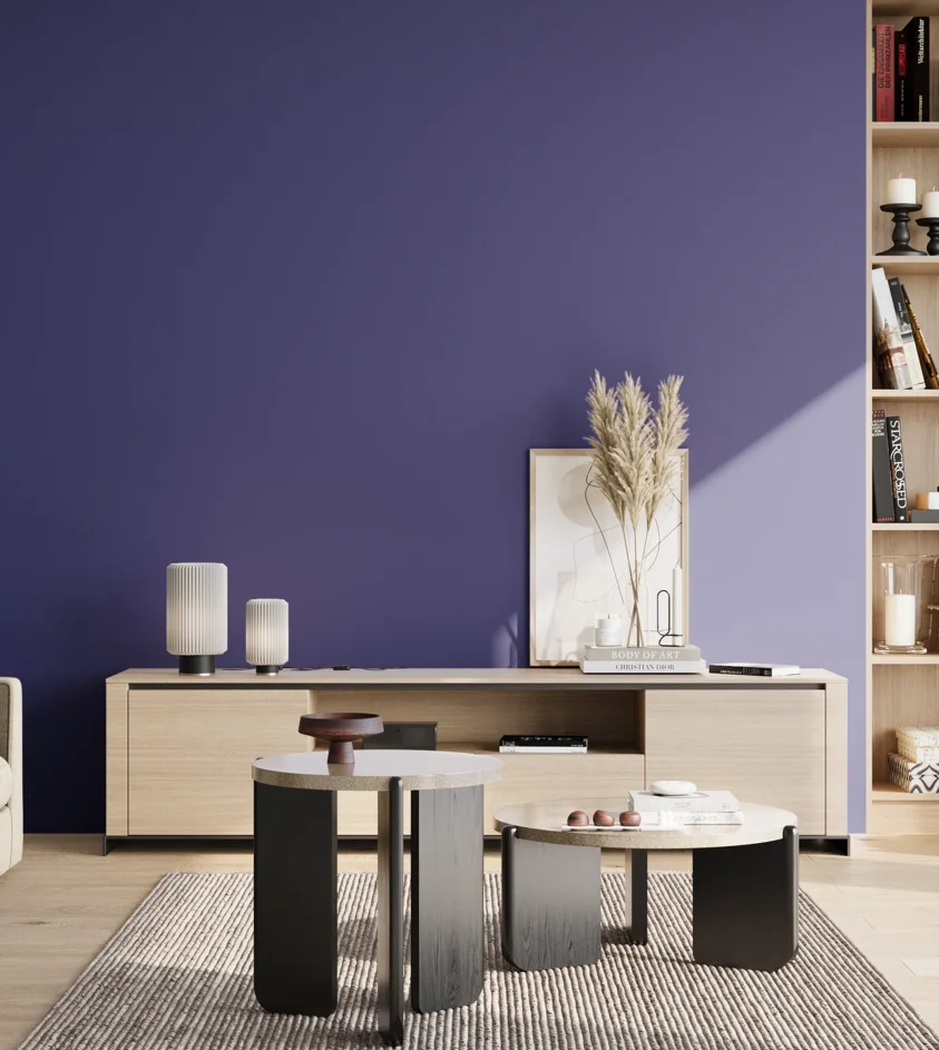 P10_SNIEZKA_salon_02_poludnie_GREY_S4055-R70B