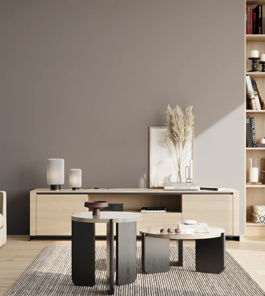 P10_SNIEZKA_salon_02_poludnie_GREY_S4502-R