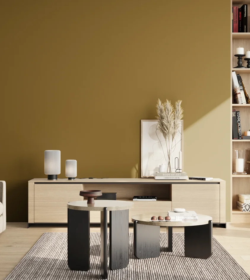 P10_SNIEZKA_salon_02_poludnie_GREY_S4550-Y