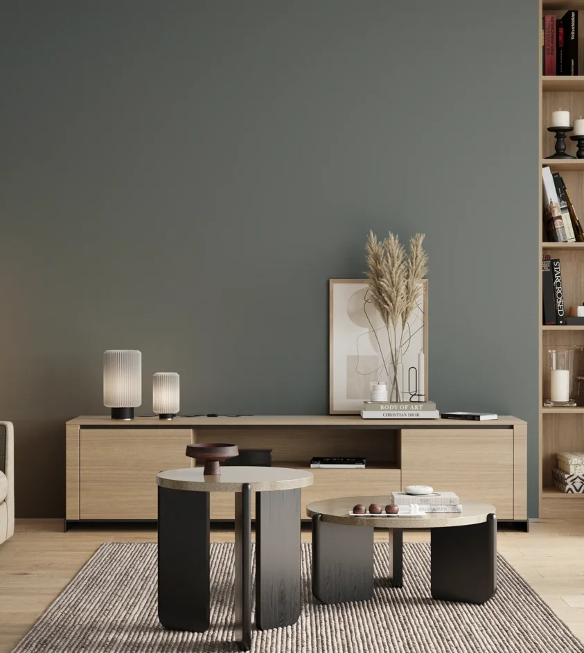 P10_SNIEZKA_salon_00_neutral_GREY_S5010-B30G