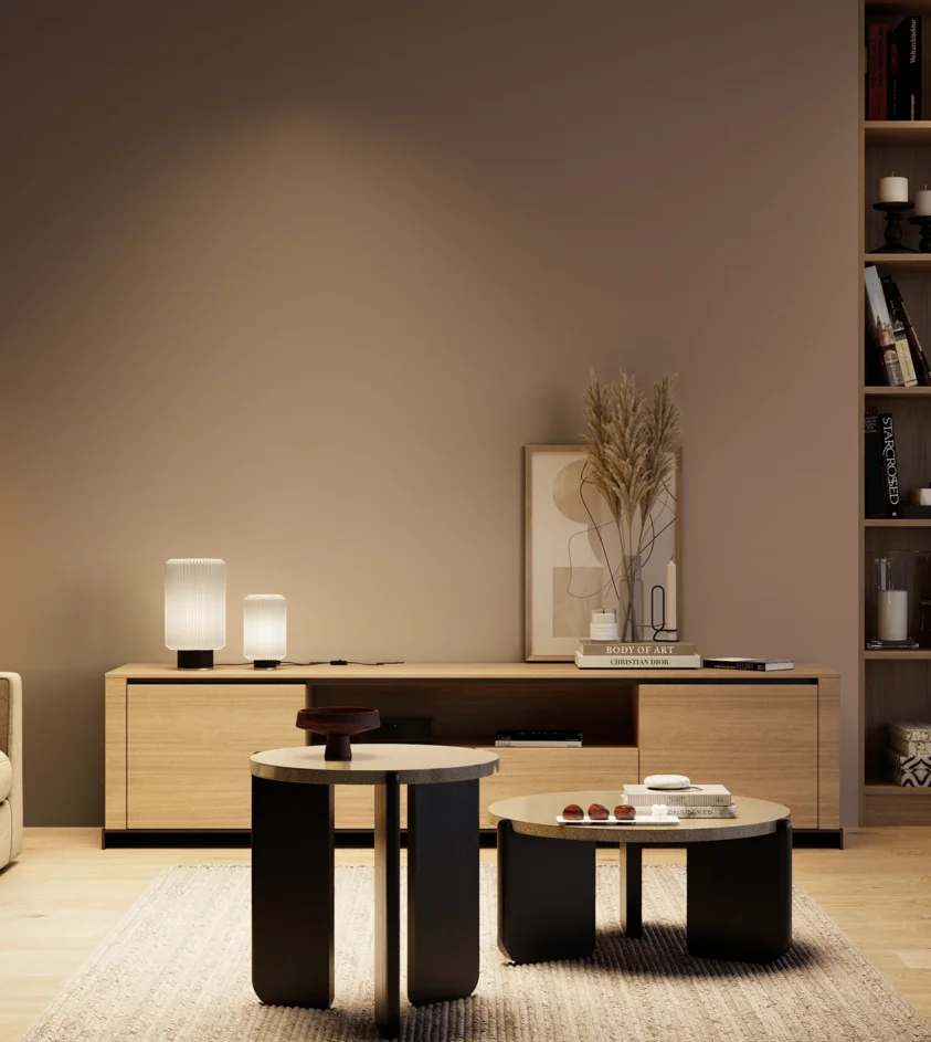 P10_SNIEZKA_salon_04_cieple_GREY_S5010-Y70R