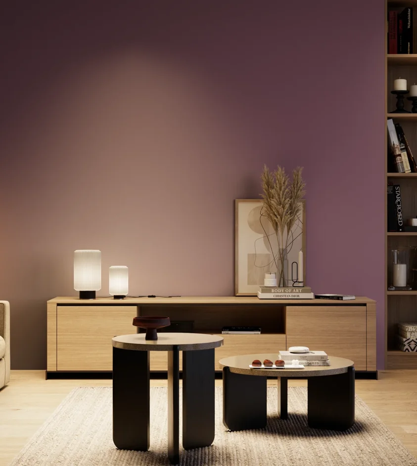 P10_SNIEZKA_salon_04_cieple_GREY_S5030-R40B