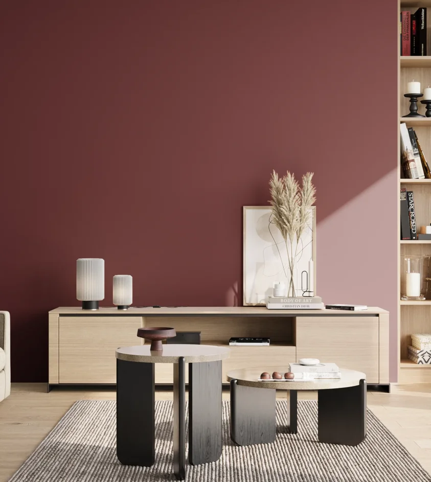 P10_SNIEZKA_salon_02_poludnie_GREY_S5040-R10B