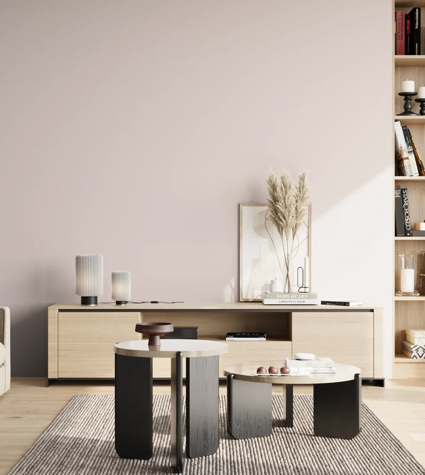 P10_SNIEZKA_salon_02_poludnie_GREY_S0505-R10B