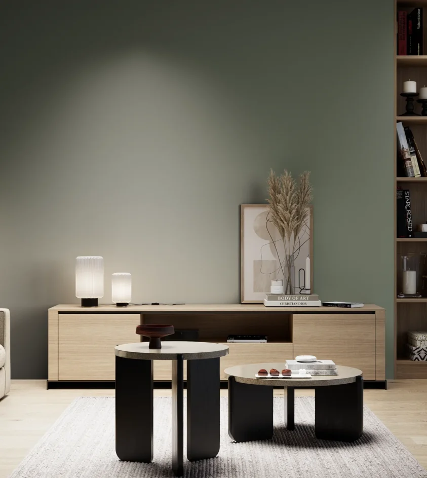 P10_SNIEZKA_salon_05_zimne_GREY_S6010-G30Y