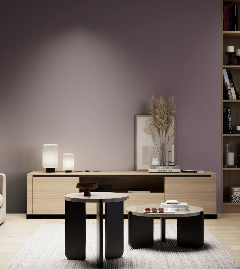 P10_SNIEZKA_salon_05_zimne_GREY_S6010-R30B