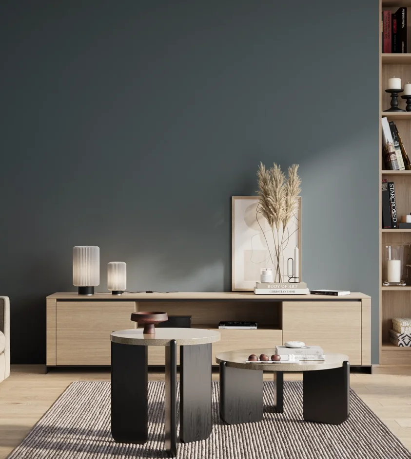 P10_SNIEZKA_salon_01_poranek_GREY_S6020-B