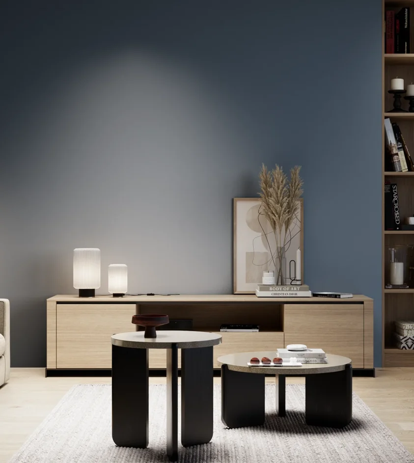 P10_SNIEZKA_salon_05_zimne_GREY_S6020-R90B