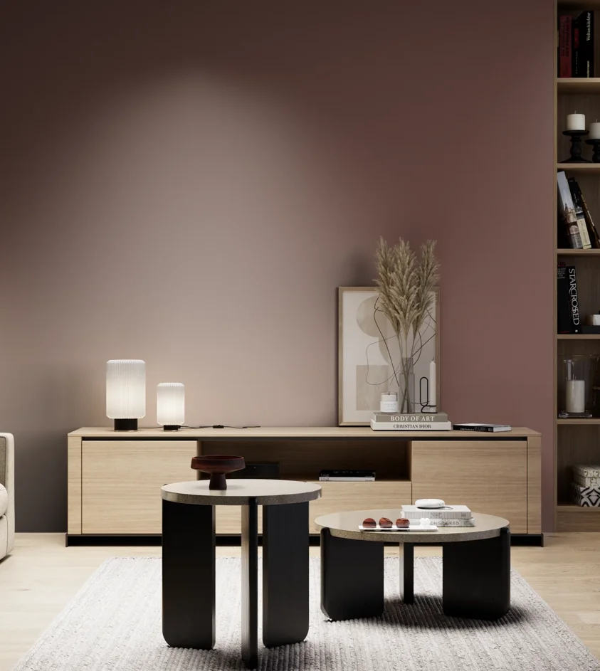 P10_SNIEZKA_salon_05_zimne_GREY_S6020-Y90R
