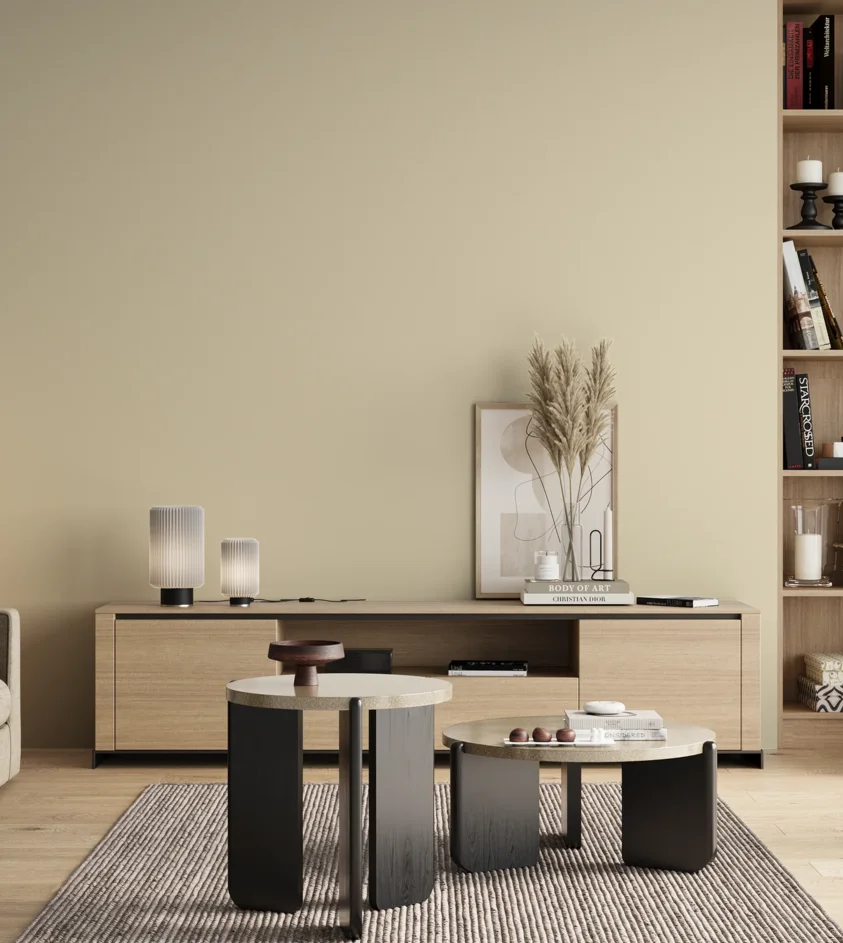 P10_SNIEZKA_salon_00_neutral_GREY_S0505-Y20R