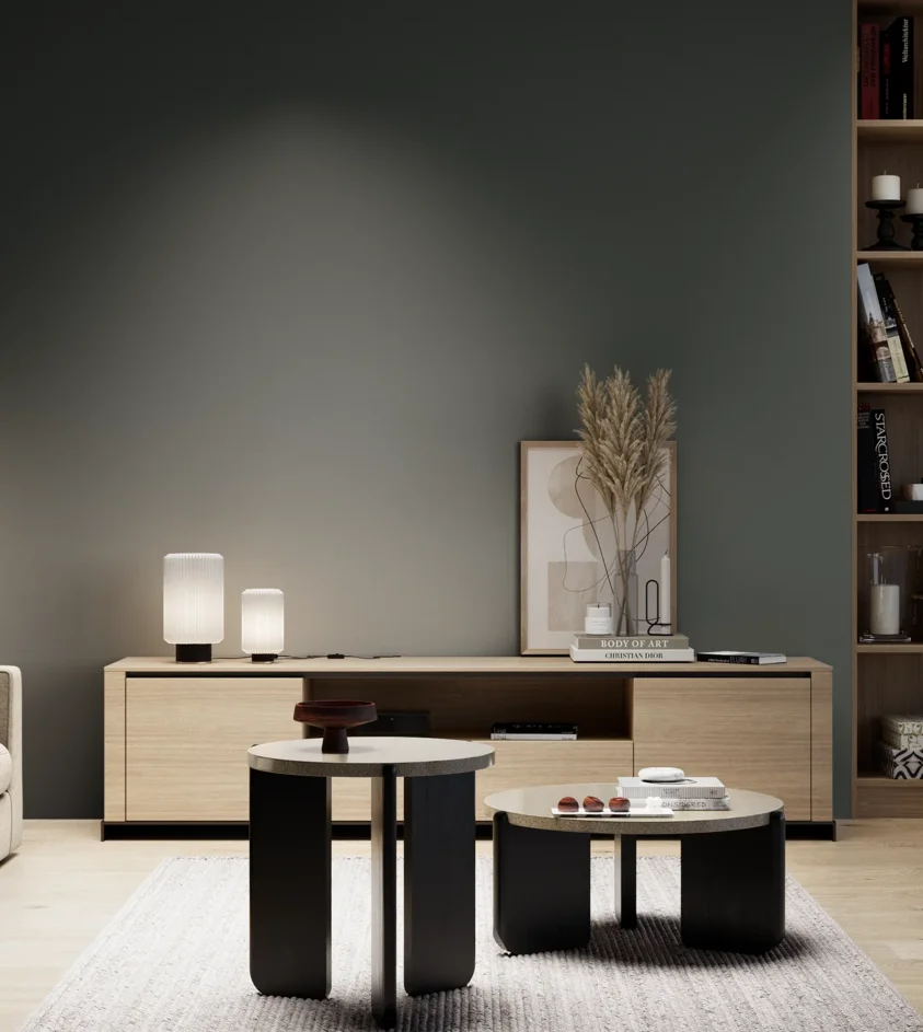 P10_SNIEZKA_salon_05_zimne_GREY_S8005-B80G