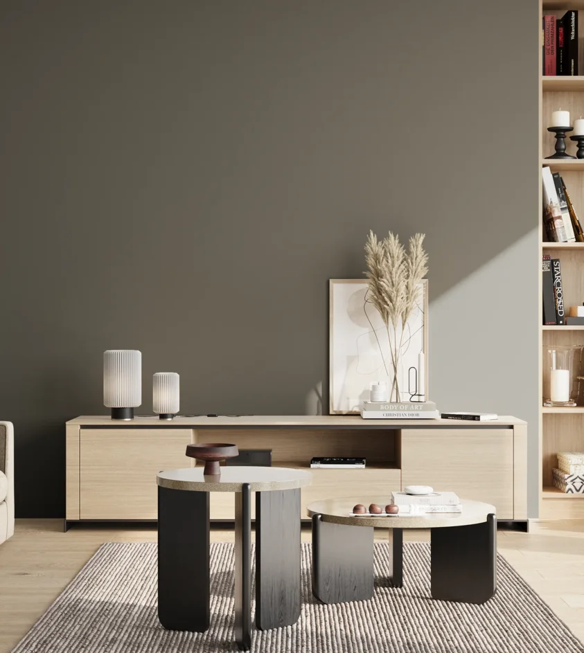 P10_SNIEZKA_salon_02_poludnie_GREY_S6502-G50Y
