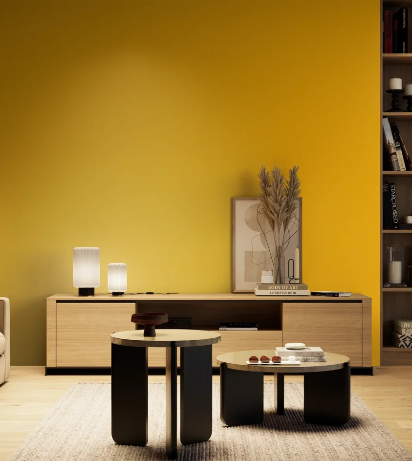 P10_SNIEZKA_salon_04_cieple_GREY_RAL1021