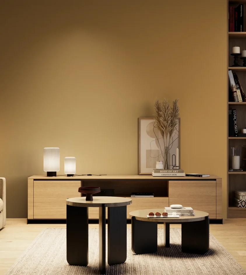 P10_SNIEZKA_salon_04_cieple_GREY_RAL1024
