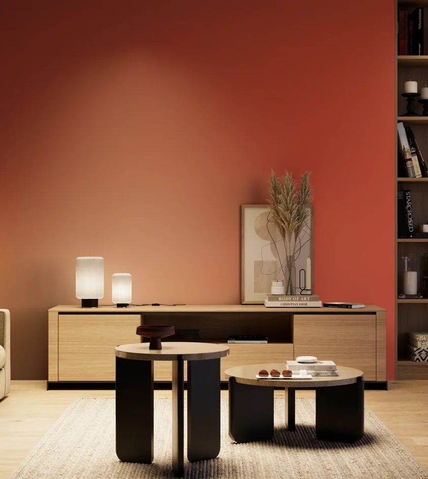 P10_SNIEZKA_salon_04_cieple_GREY_RAL2002