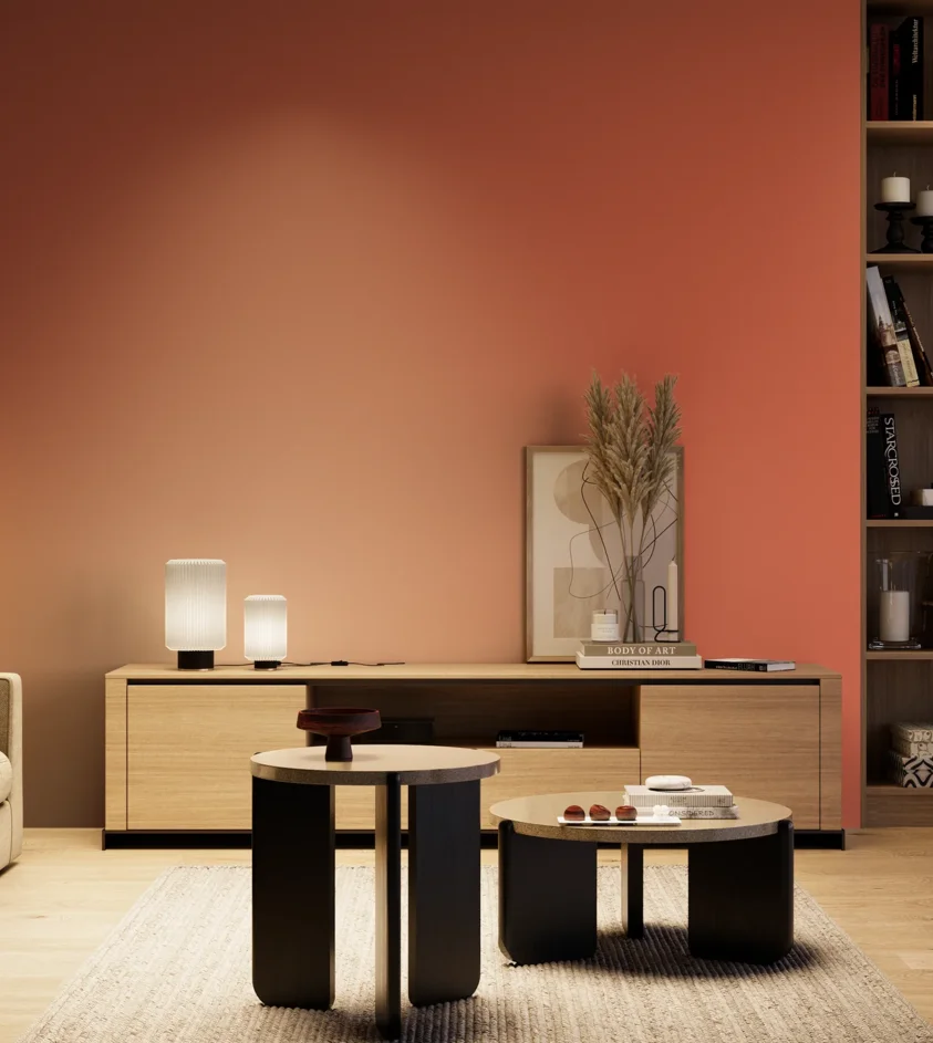 P10_SNIEZKA_salon_04_cieple_GREY_RAL2012