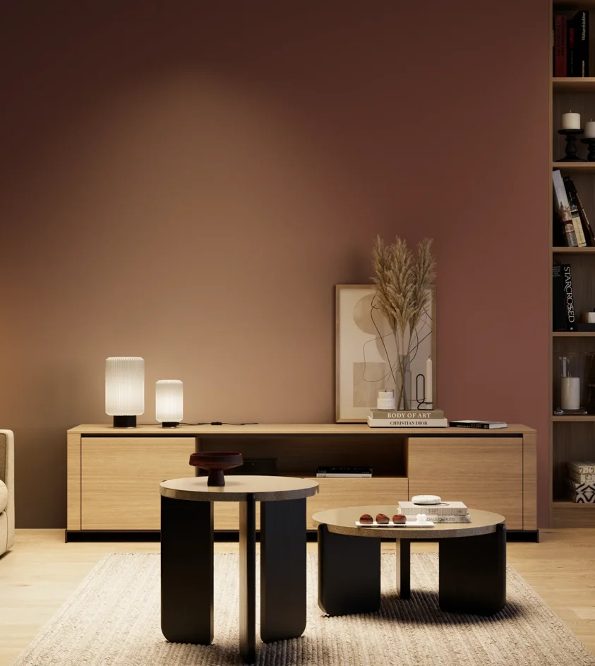P10_SNIEZKA_salon_04_cieple_GREY_RAL3009